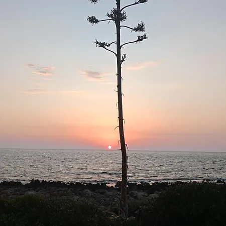 Tzanetos Seaside Kyparissia
