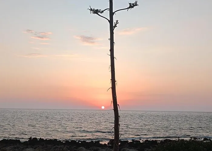 Tzanetos Seaside Kyparissia